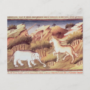 Mythical animals in the wilderness postcard