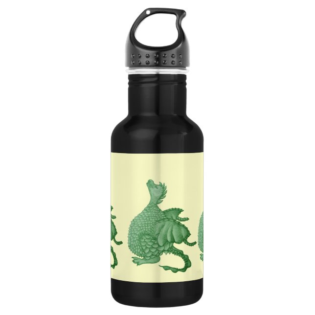 mythical fantasy creature cute green dragon 532 ml water bottle (Front)