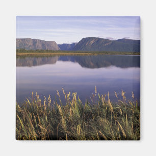 N.A., Canada, Newfoundland, Gros Morne National Magnet