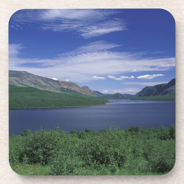 N.A., Canada, Newfoundland, Grose Morne Trout Coaster (Front)