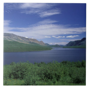 N.A., Canada, Newfoundland, Grose Morne Trout Tile