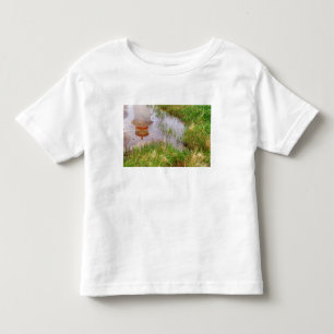 N.A. Canada, Nova Scotia, Peggy's Cove. Toddler T-Shirt