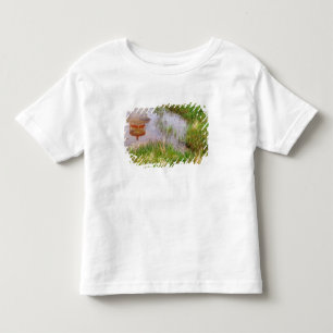 N.A. Canada, Nova Scotia, Peggy's Cove. Toddler T-Shirt