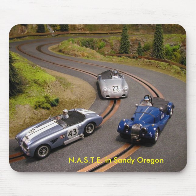 N.A.S.T.E. in Sandy Oregon Mouse Pad (Front)