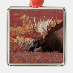 N.A., USA, Alaska, Denali National Park, Bull Metal Tree Decoration