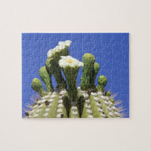 N.A., USA, Arizona, Tucson, Sonora Desert 2 Jigsaw Puzzle