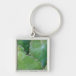 N.A., USA, Arizona, Tucson, Sonora Desert Key Ring