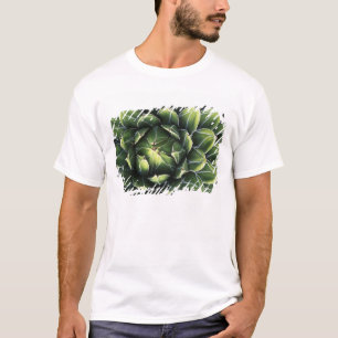N.A., USA, Arizona, Tucson, Sonora Desert T-Shirt
