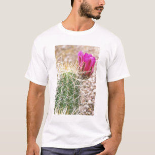 N.A., USA, AZ, Phoenix, Desert Botanical T-Shirt