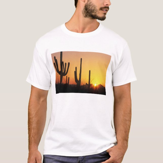 N.A., USA, AZ, Saguaro NP, Saguaro Sunset T-Shirt (Front)