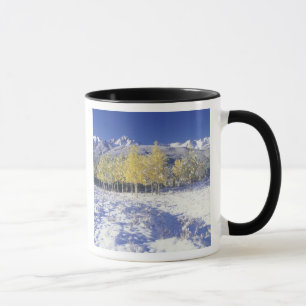 N.A., USA, Colorado, San Juan Mts Fresh snow Mug