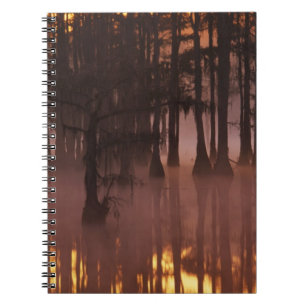 N.A., USA, Georgia, George Smith State Park. Notebook