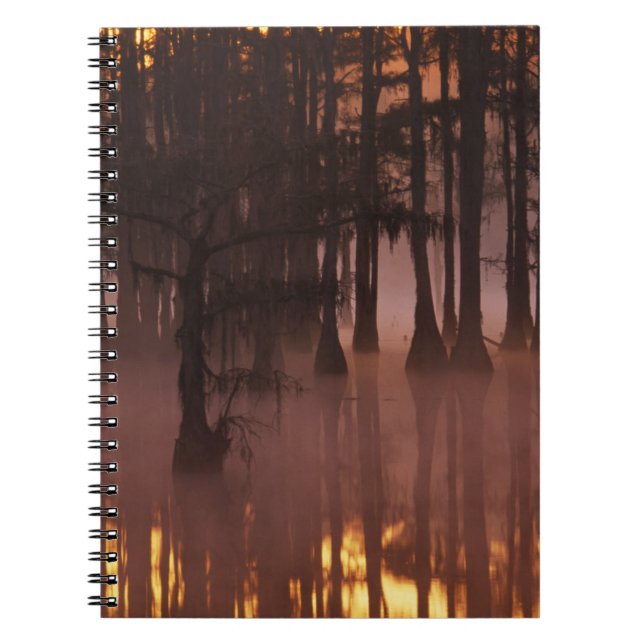 N.A., USA, Georgia, George Smith State Park. Notebook (Front)