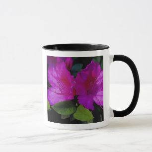 N.A. USA, Georgia, Savannah. Azalea in bloom. Mug