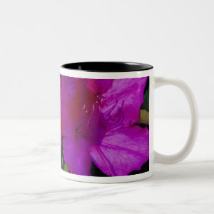 N.A. USA, Georgia, Savannah. Azalea in bloom. Two-Tone Coffee Mug