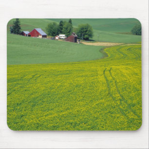 N.A., USA, Idaho, Latah County, near Genesee. Mouse Pad