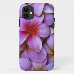 N.A., USA, Maui, Hawaii. Pink Plumeria blossoms. Case-Mate iPhone Case