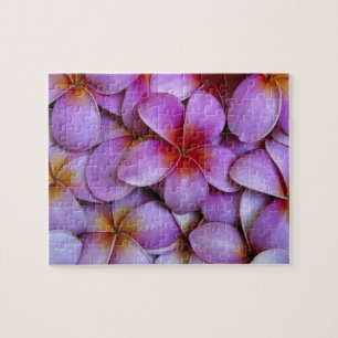 N.A., USA, Maui, Hawaii. Pink Plumeria blossoms. Jigsaw Puzzle