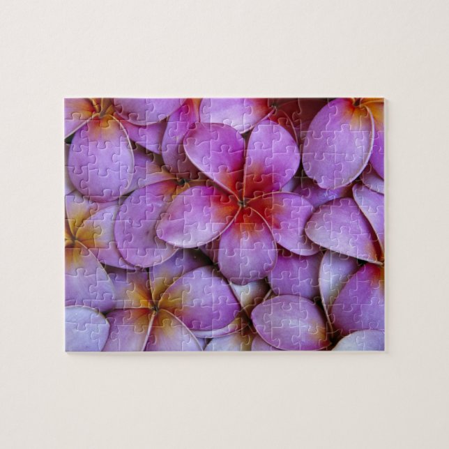 N.A., USA, Maui, Hawaii. Pink Plumeria blossoms. Jigsaw Puzzle (Horizontal)