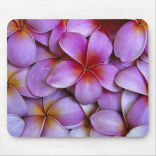 N.A., USA, Maui, Hawaii. Pink Plumeria blossoms. Mouse Pad