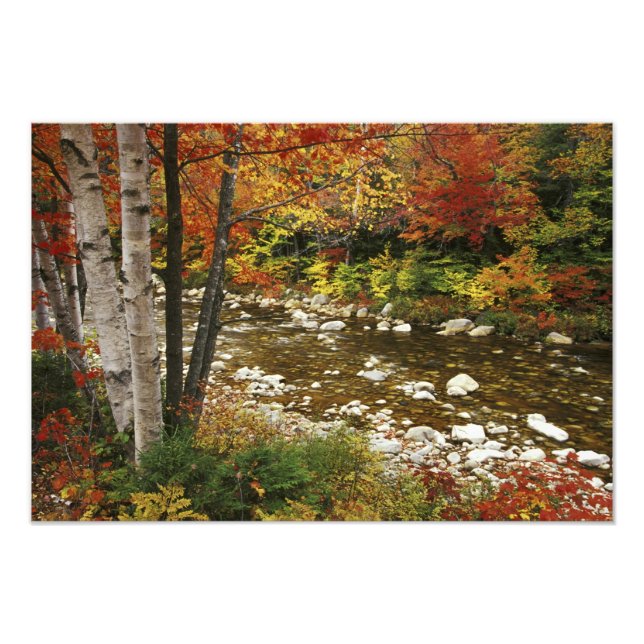 N.A., USA, New Hampshire, White Mountains, Photo Print (Front)