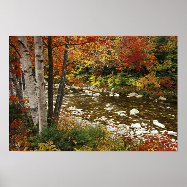 N.A., USA, New Hampshire, White Mountains, Poster (Front)