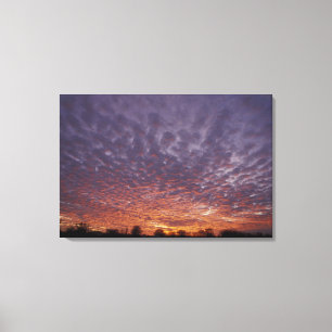 N.A., USA, New Mexico, near Las Cruces, Canvas Print