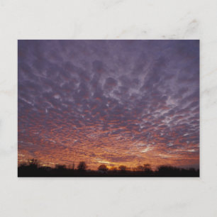 N.A., USA, New Mexico, near Las Cruces, Postcard