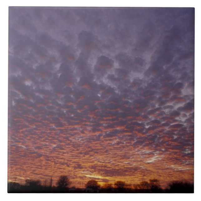 N.A., USA, New Mexico, near Las Cruces, Tile (Front)