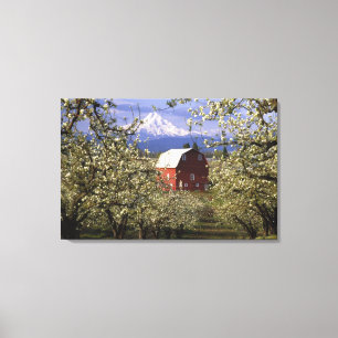 N.A., USA, Oregon, Hood River County. Red Canvas Print
