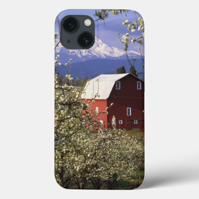 N.A., USA, Oregon, Hood River County. Red Case-Mate iPhone Case (Back)