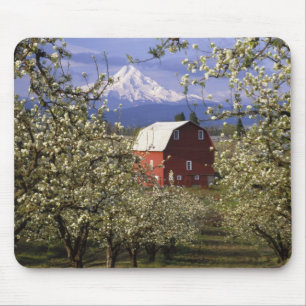 N.A., USA, Oregon, Hood River County. Red Mouse Pad