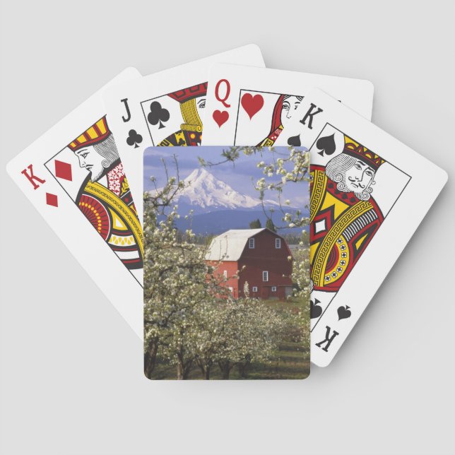 N.A., USA, Oregon, Hood River County. Red Playing Cards (Back)