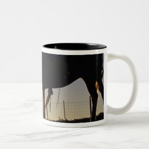 N.A., USA, Oregon, Seneca, Ponderosa Ranch, Two-Tone Coffee Mug
