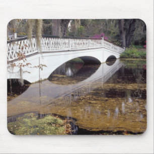 N.A., USA, South Carolina, Charleston.  Magnolia Mouse Pad
