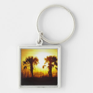 N.A., USA, South Carolina, Charleston. Sunset Key Ring