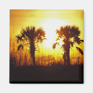 N.A., USA, South Carolina, Charleston. Sunset Magnet