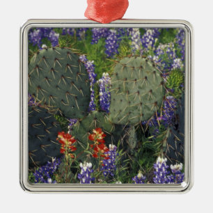 N.A., USA, Texas, Cactus surrounded by Metal Tree Decoration