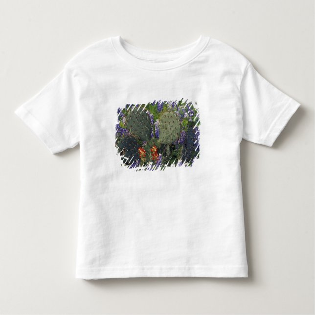 N.A., USA, Texas, Cactus surrounded by Toddler T-Shirt (Front)