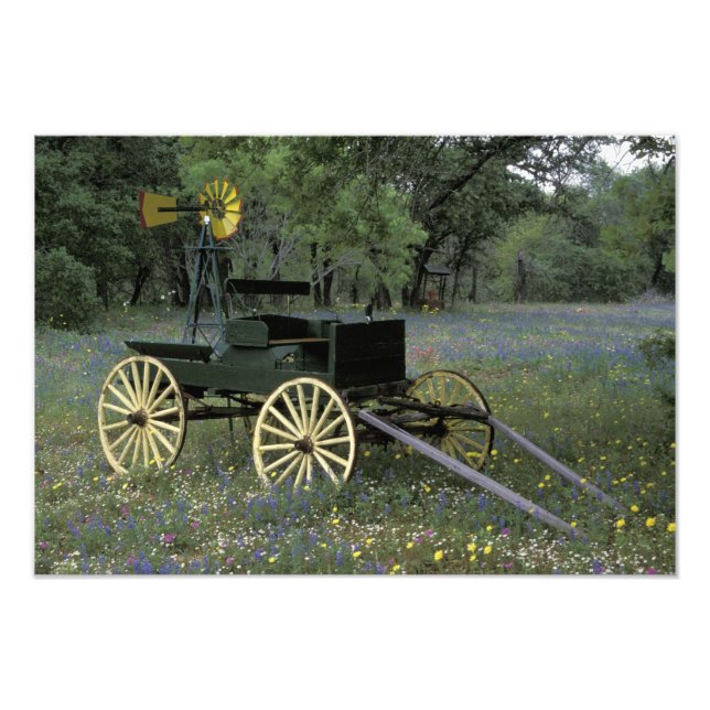 N.A., USA, Texas, Devine, Old wagon and Photo Print (Front)