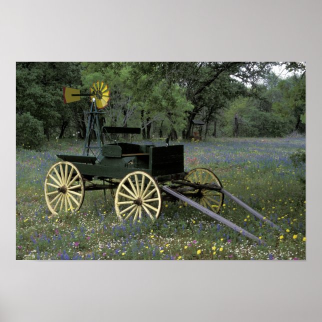 N.A., USA, Texas, Devine, Old wagon and Poster (Front)