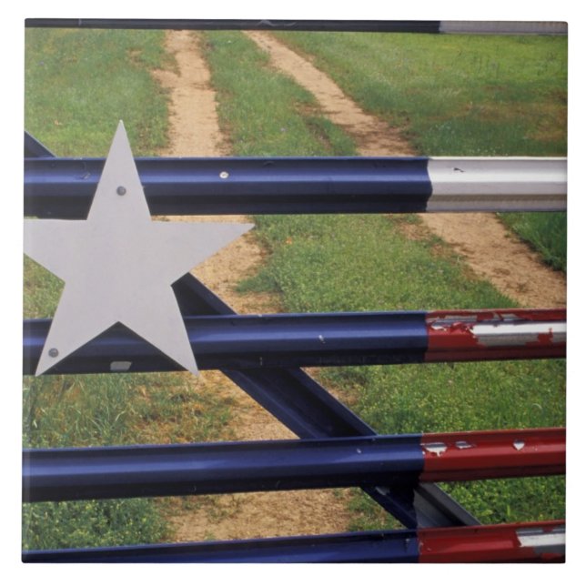 N.A., USA, Texas, Lake Buchanan, Texas flag Tile (Front)