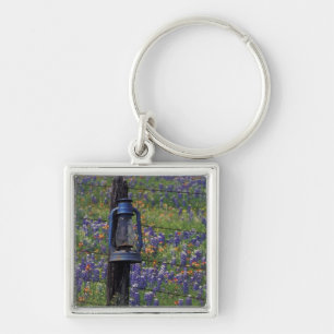 N.A., USA, Texas, Llano, Blue Lantern and Key Ring