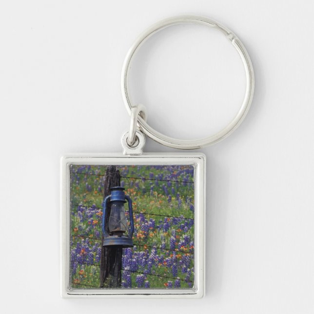 N.A., USA, Texas, Llano, Blue Lantern and Key Ring (Front)