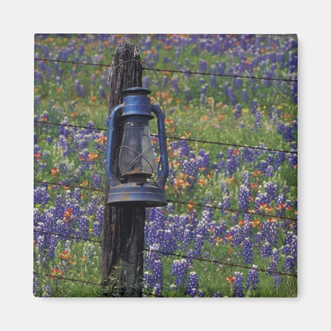 N.A., USA, Texas, Llano, Blue Lantern and Magnet (Front)