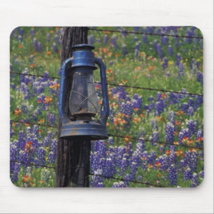 N.A., USA, Texas, Llano, Blue Lantern and Mouse Pad