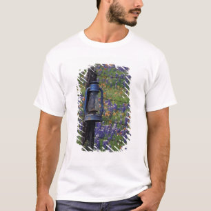 N.A., USA, Texas, Llano, Blue Lantern and T-Shirt