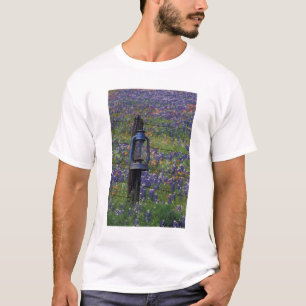 N.A., USA, Texas, Llano, Blue Lantern and T-Shirt