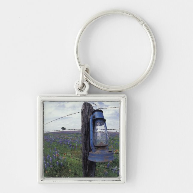 N.A., USA, Texas, Llano, Blue Lantern, Oak tree Key Ring (Front)