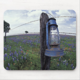 N.A., USA, Texas, Llano, Blue Lantern, Oak tree Mouse Pad